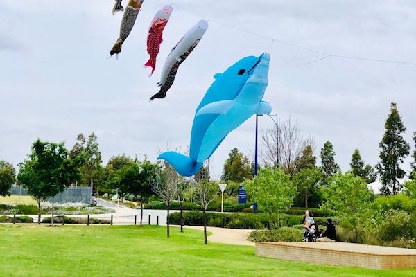 beautiful-large-kites-flying-holland-park-piara-waters-2020-community-kite-festival