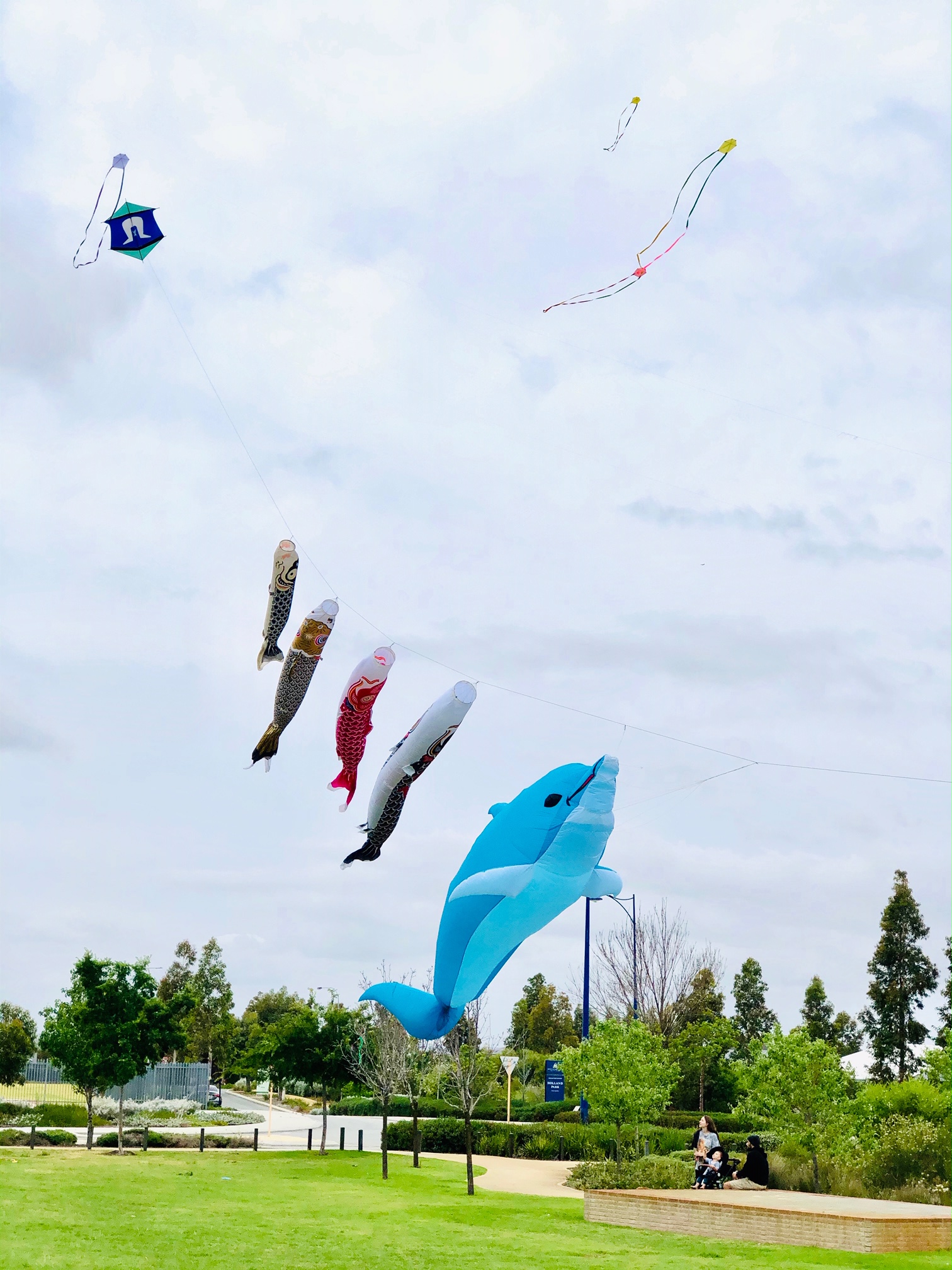 beautiful-large-kites-flying